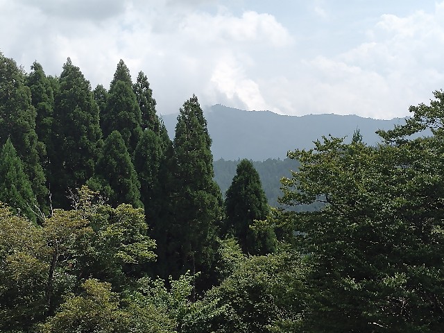 f:id:developingexplorer:20240108123935j:image f:id:developingexplorer:20240108123935j:image