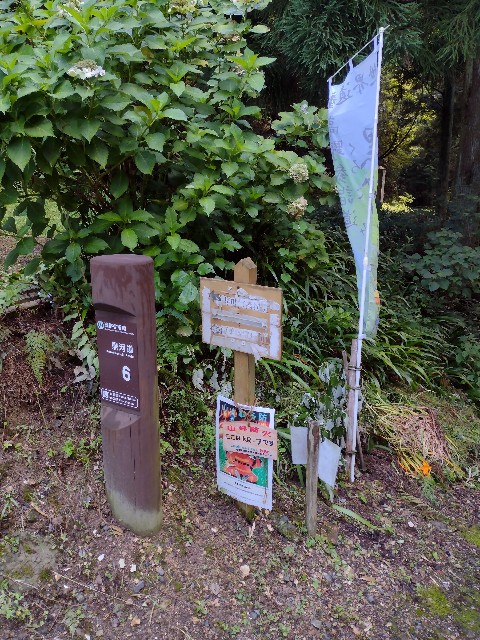 f:id:developingexplorer:20240108173858j:image f:id:developingexplorer:20240108173858j:image