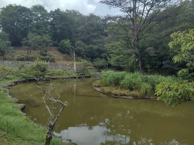 f:id:developingexplorer:20240108181225j:image f:id:developingexplorer:20240108181225j:image