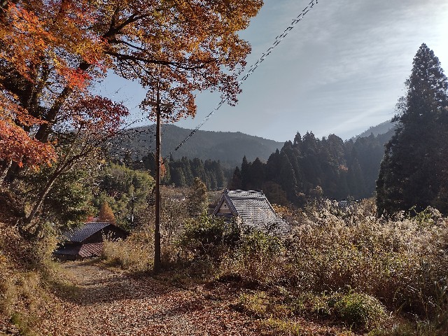 花背高原駅〜雲取山〜芹生集落〜滝谷峠〜貴船山〜二ノ瀬駅縦走