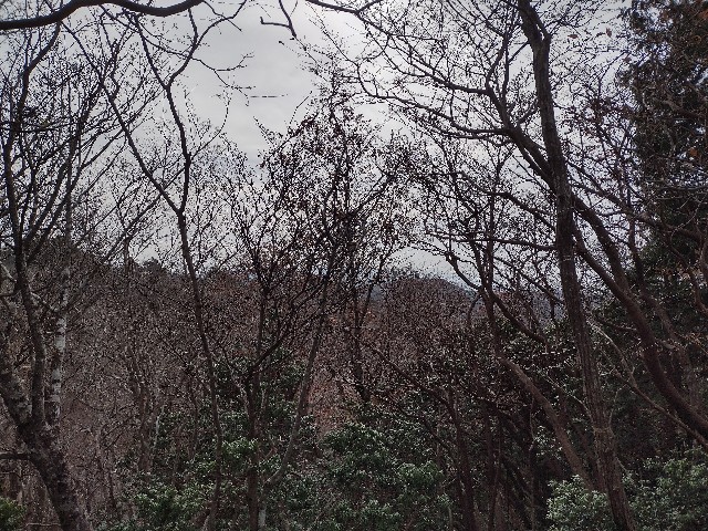 f:id:developingexplorer:20240113195013j:image