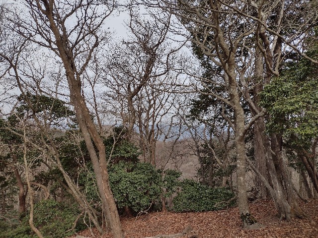 f:id:developingexplorer:20240113195053j:image