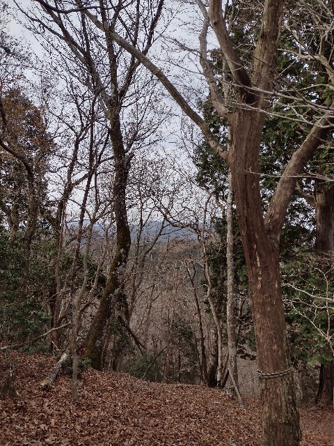 f:id:developingexplorer:20240113195125j:image