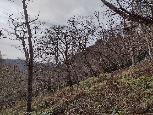 f:id:developingexplorer:20240113195158j:image