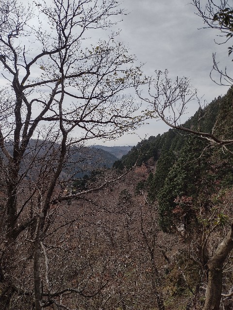 f:id:developingexplorer:20240113195236j:image
