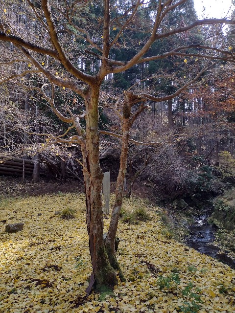 f:id:developingexplorer:20240113200120j:image