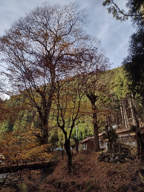 f:id:developingexplorer:20240113200208j:image