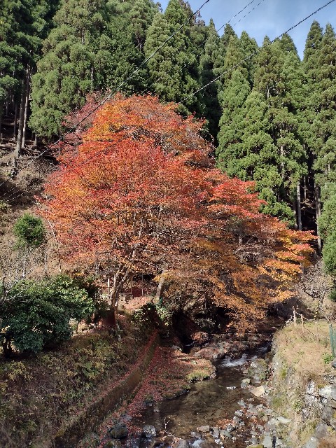 f:id:developingexplorer:20240113200455j:image