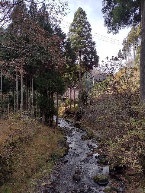f:id:developingexplorer:20240113200524j:image