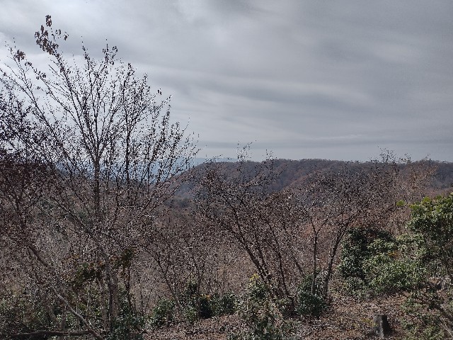 f:id:developingexplorer:20240113201751j:image