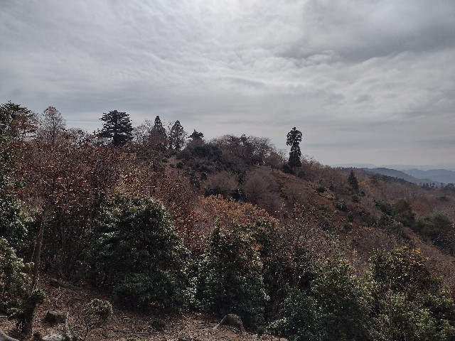 f:id:developingexplorer:20240113201812j:image