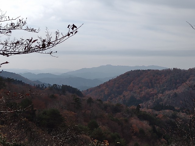 f:id:developingexplorer:20240113201830j:image