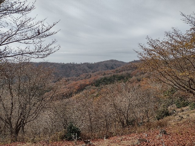 f:id:developingexplorer:20240113201909j:image
