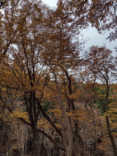 f:id:developingexplorer:20240113202941j:image