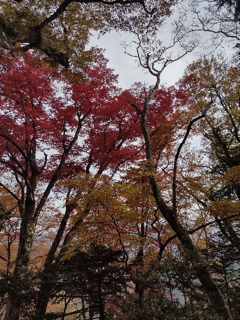 f:id:developingexplorer:20240113203010j:image