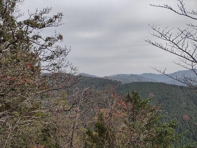 f:id:developingexplorer:20240113203110j:image