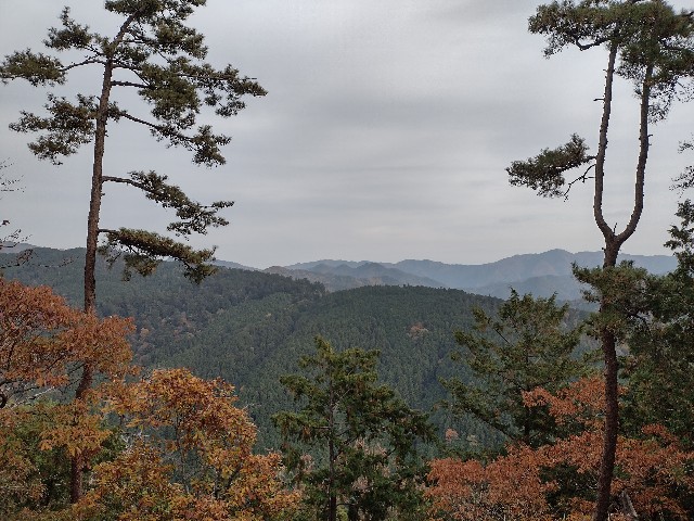 f:id:developingexplorer:20240113203132j:image