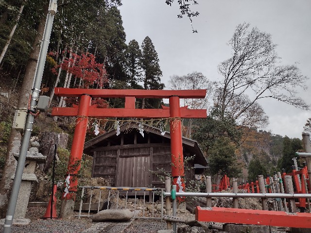 f:id:developingexplorer:20240113203239j:image