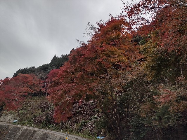 f:id:developingexplorer:20240113203338j:image