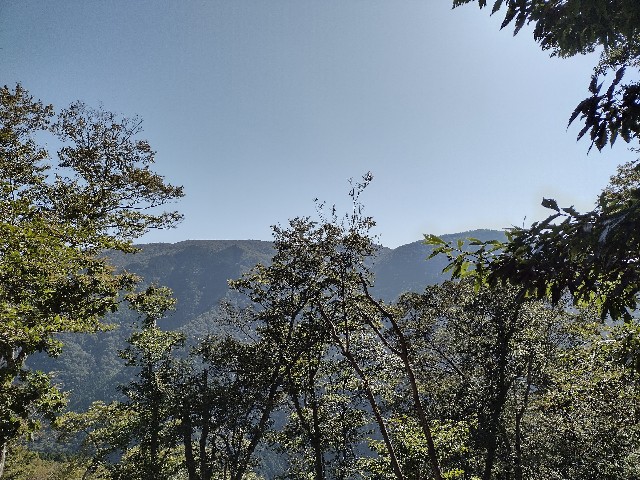f:id:developingexplorer:20240114073823j:image f:id:developingexplorer:20240114073823j:image
