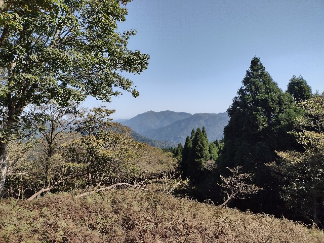 f:id:developingexplorer:20240114074449j:image f:id:developingexplorer:20240114074449j:image
