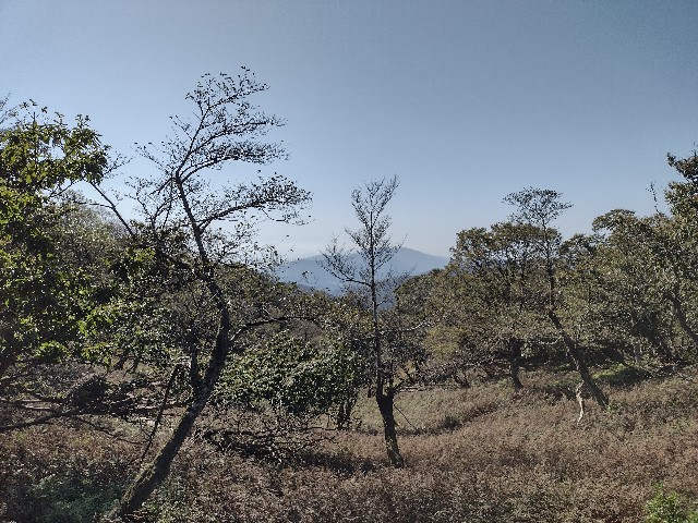 f:id:developingexplorer:20240114074713j:image f:id:developingexplorer:20240114074713j:image