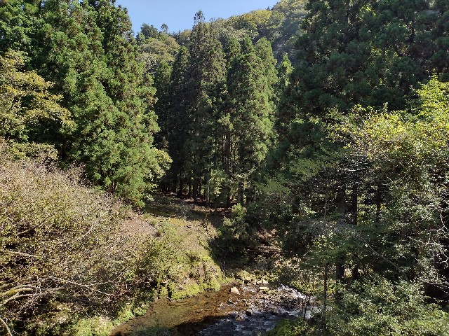 f:id:developingexplorer:20240114081640j:image f:id:developingexplorer:20240114081640j:image