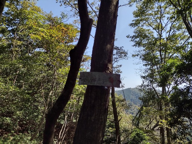f:id:developingexplorer:20240114081712j:image f:id:developingexplorer:20240114081712j:image