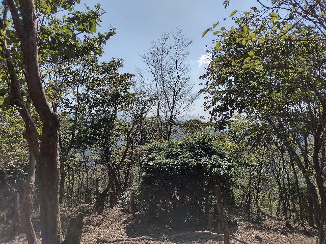 f:id:developingexplorer:20240114082411j:image f:id:developingexplorer:20240114082411j:image