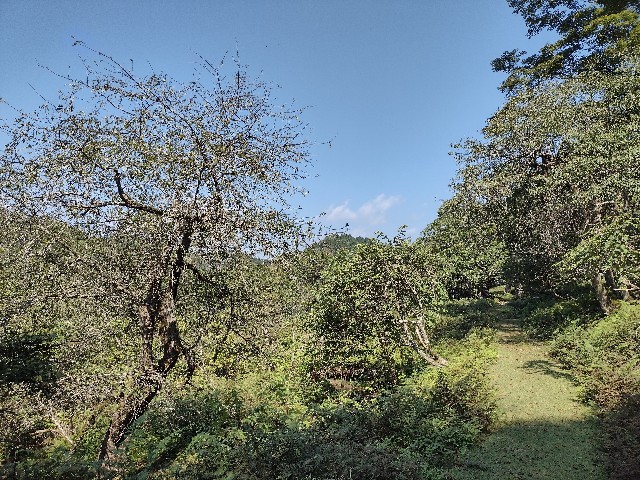 f:id:developingexplorer:20240114124951j:image f:id:developingexplorer:20240114124951j:image