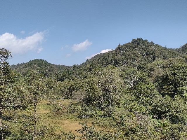 f:id:developingexplorer:20240114125115j:image f:id:developingexplorer:20240114125115j:image