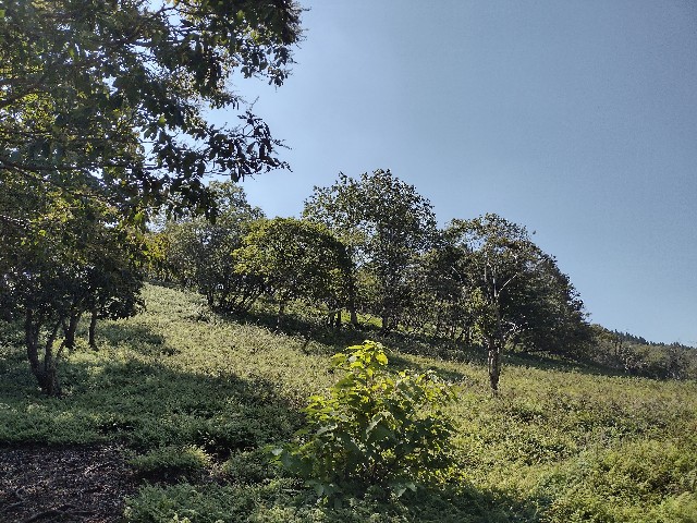 f:id:developingexplorer:20240114125148j:image f:id:developingexplorer:20240114125148j:image