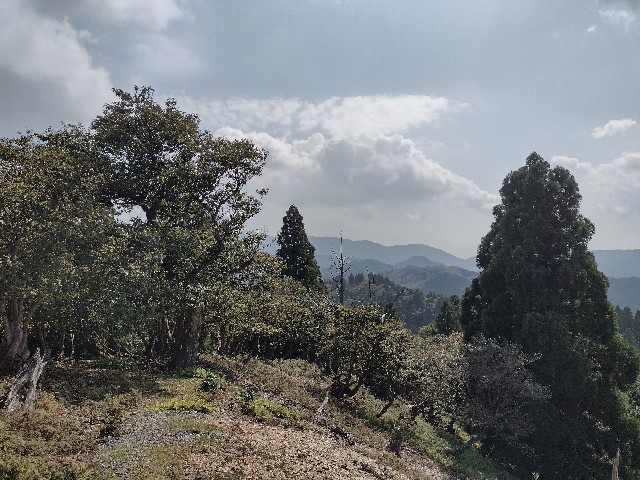f:id:developingexplorer:20240114130126j:image f:id:developingexplorer:20240114130126j:image