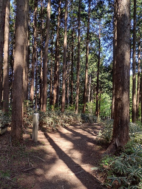 f:id:developingexplorer:20240120081519j:image