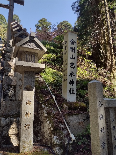 f:id:developingexplorer:20240120082320j:image