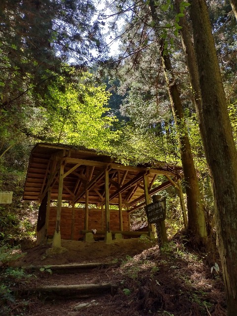 f:id:developingexplorer:20240120110103j:image