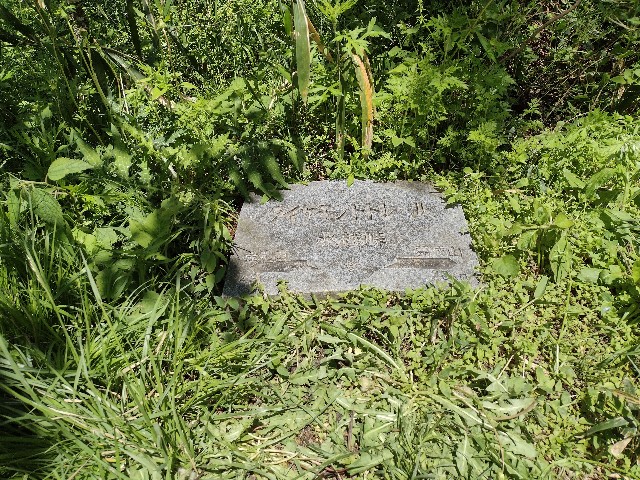 f:id:developingexplorer:20240120110444j:image