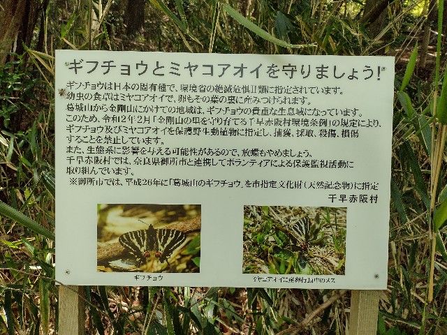 f:id:developingexplorer:20240120110639j:image