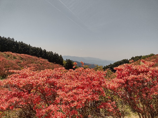 f:id:developingexplorer:20240120111152j:image
