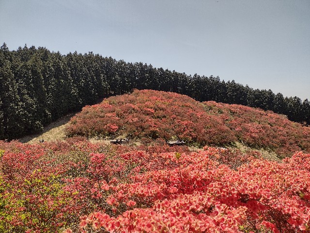 f:id:developingexplorer:20240120111211j:image