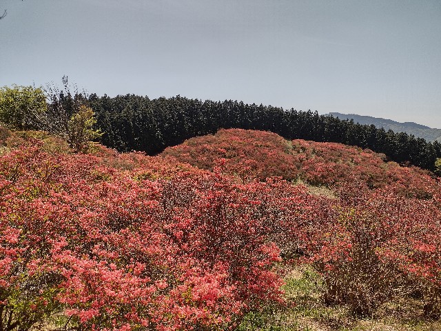 f:id:developingexplorer:20240120111300j:image