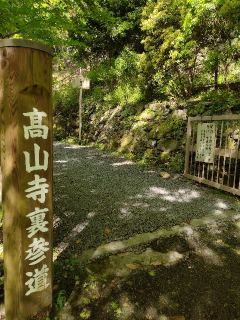 f:id:developingexplorer:20240121123014j:image
