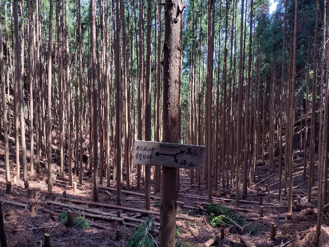 f:id:developingexplorer:20240121124904j:image
