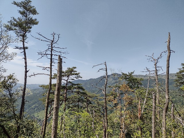 f:id:developingexplorer:20240121124925j:image