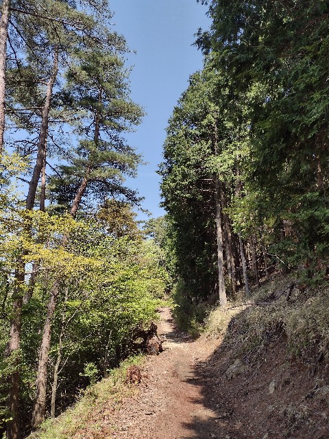 f:id:developingexplorer:20240121124955j:image