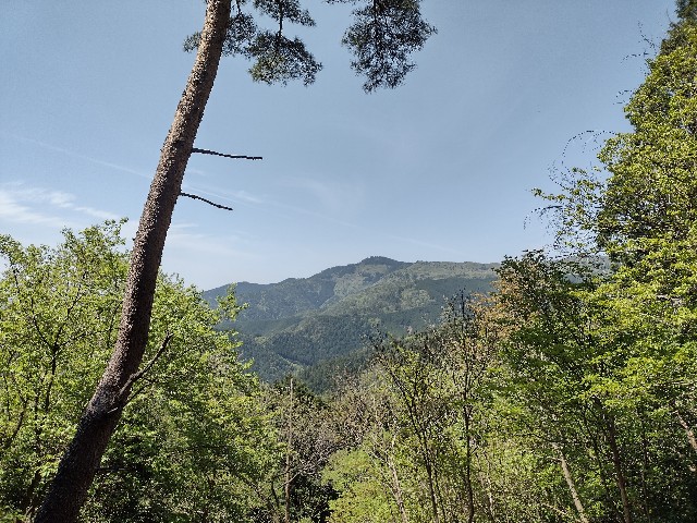 f:id:developingexplorer:20240121125059j:image