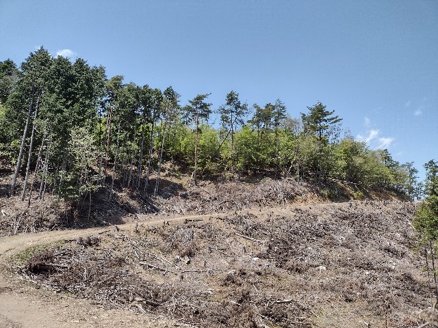 f:id:developingexplorer:20240121130258j:image