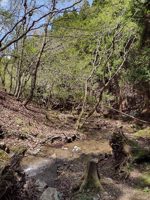 f:id:developingexplorer:20240121131849j:image