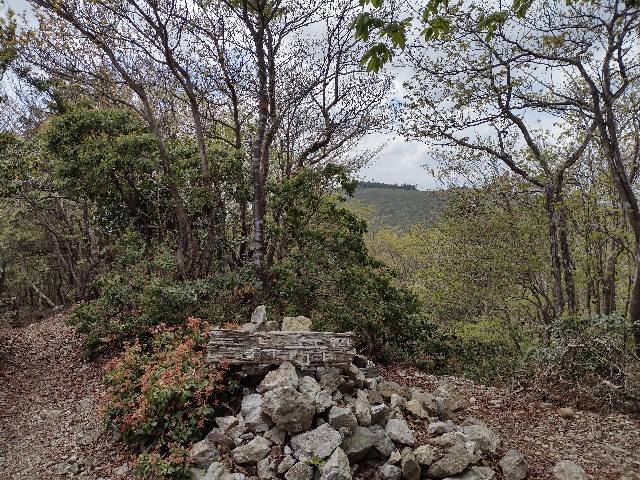f:id:developingexplorer:20240121132404j:image