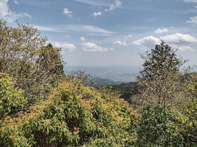 f:id:developingexplorer:20240121132519j:image